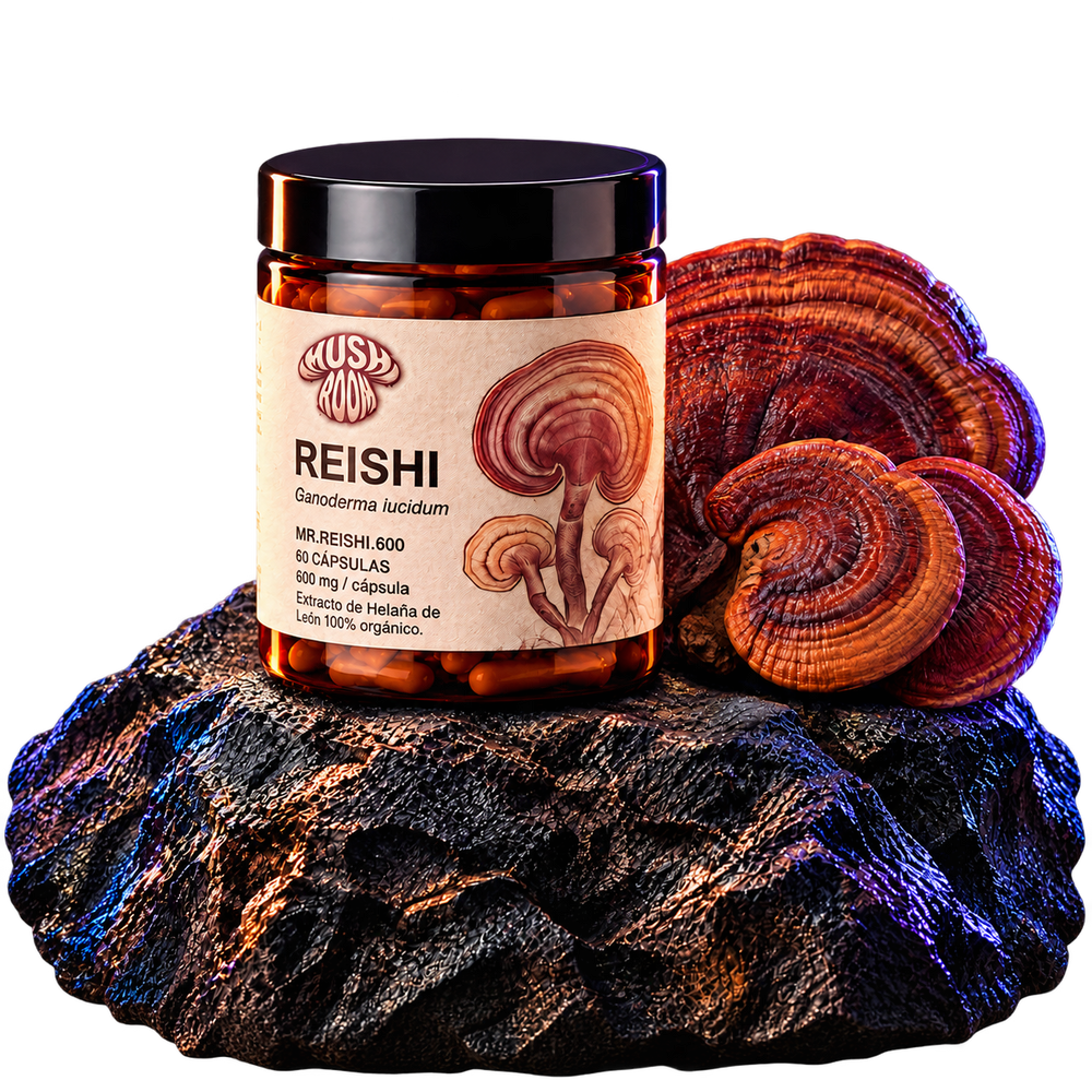 Reishi en cápsulas
