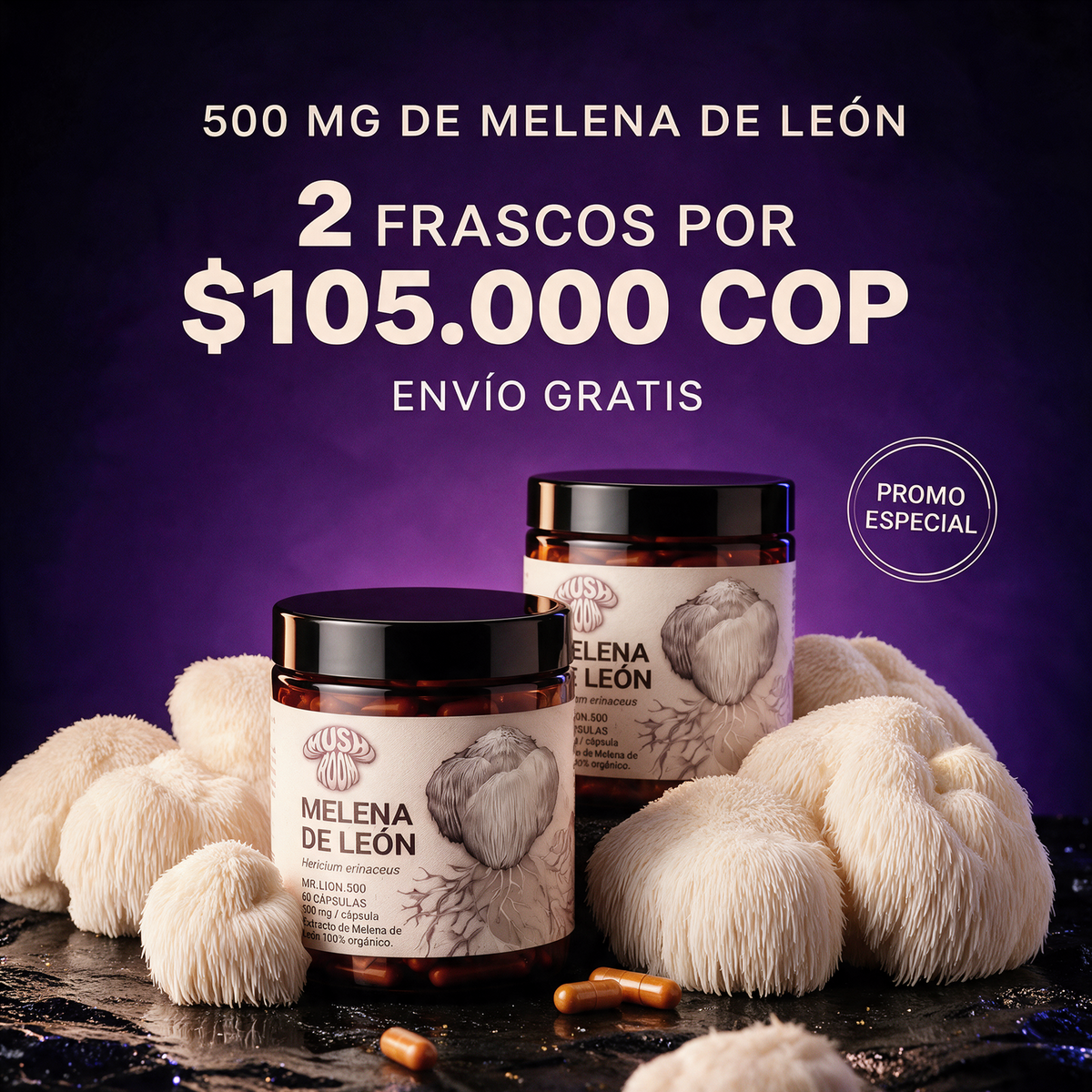 Melena de León Mush Room