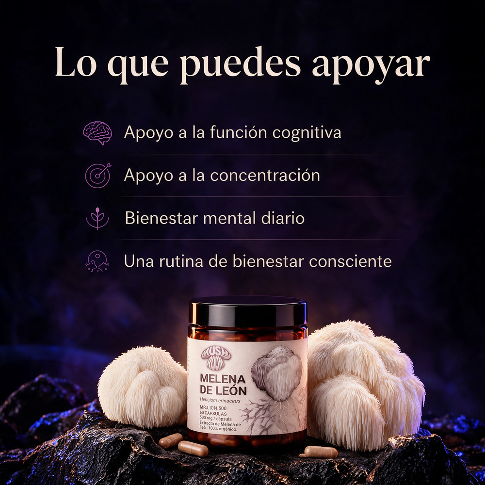 Melena de León Mush Room